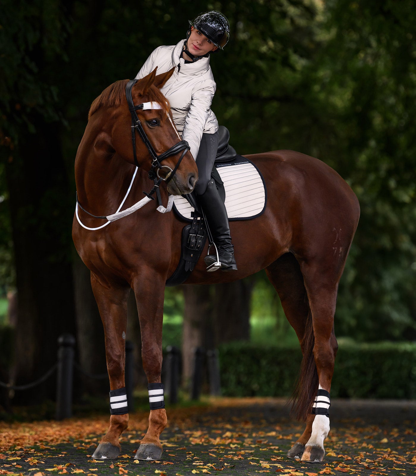 Waldhausen - Reflex Straps for bridle Set=3 pcs.