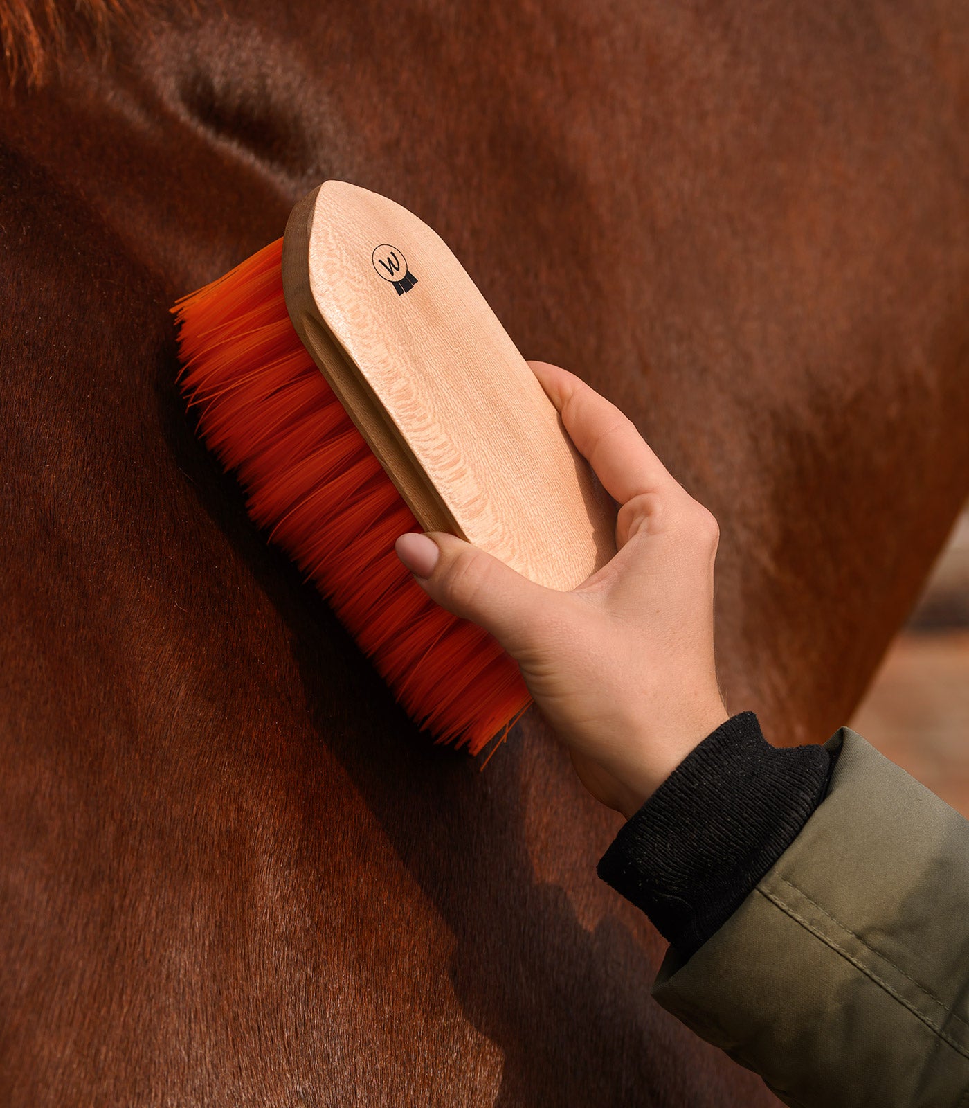 Waldhausen - Mane Brush soft