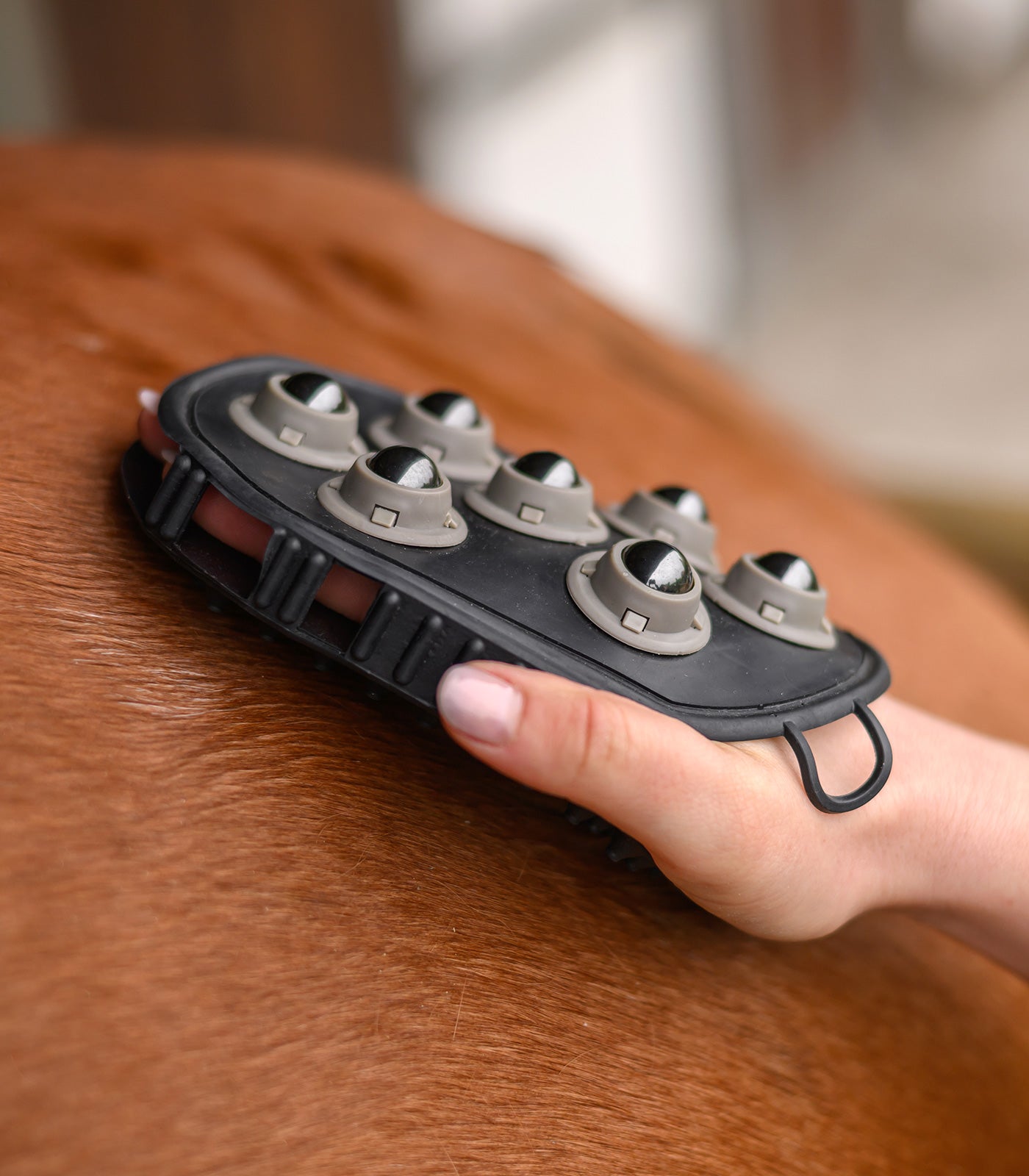 Waldhausen - Massage grooming mitt with ball