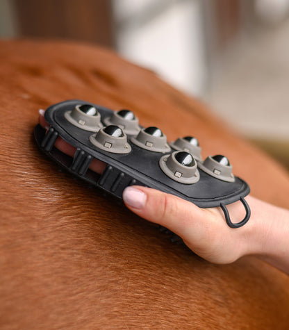 Waldhausen - Massage grooming mitt with ball