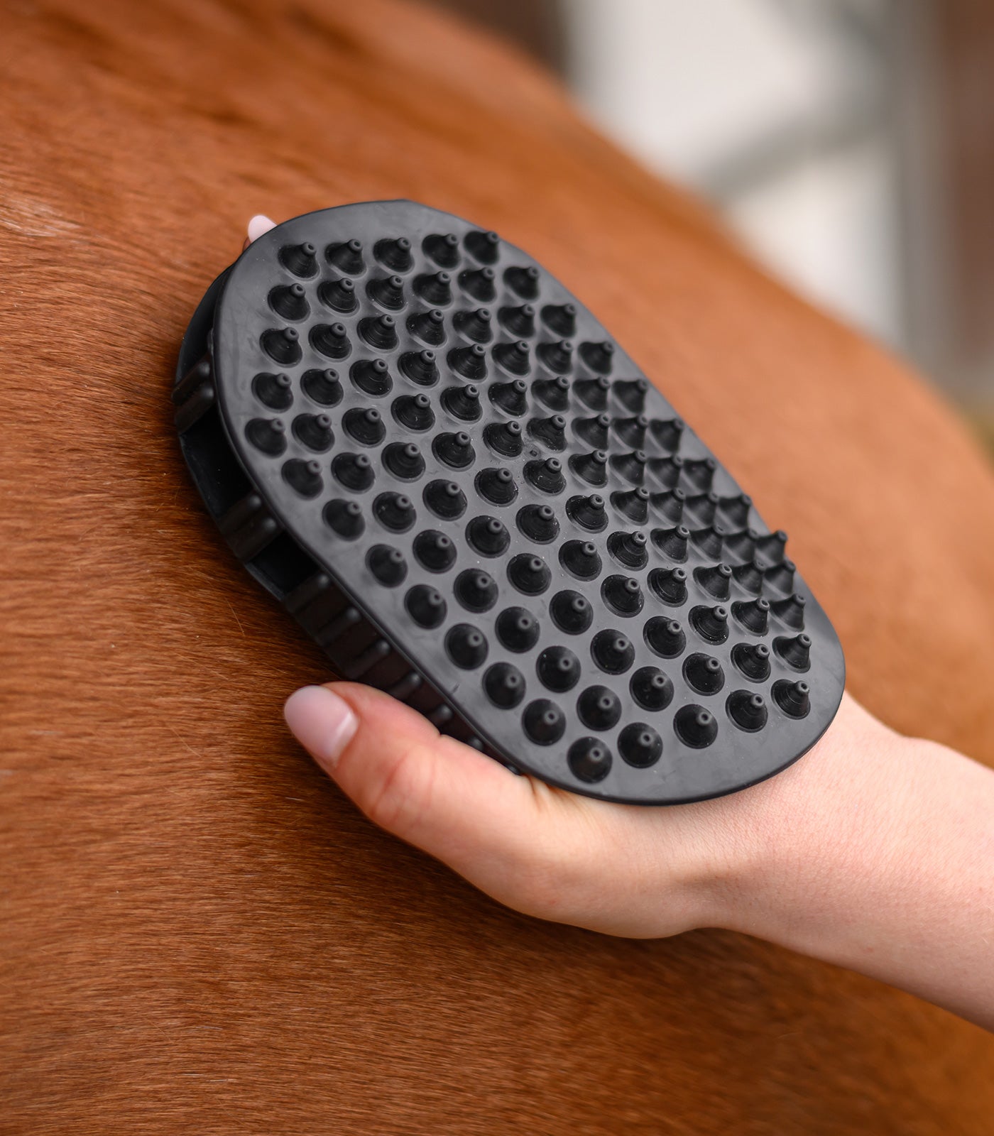 Waldhausen - Massage grooming mitt with ball
