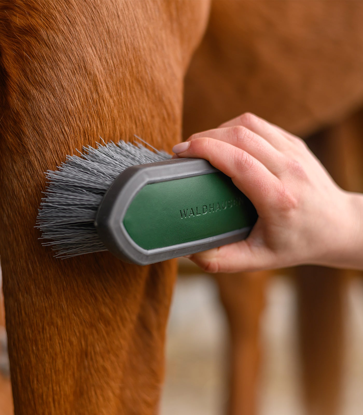 Waldhausen - Scrubbing brush