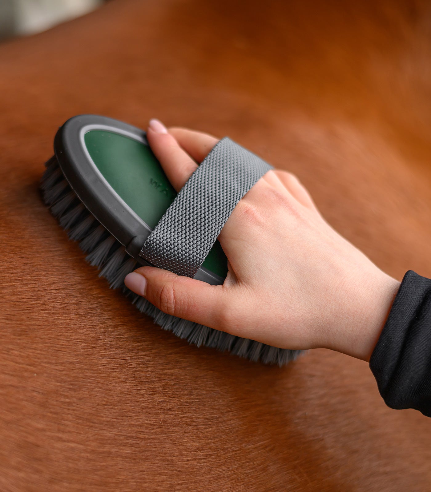 Waldhausen - Body Brush