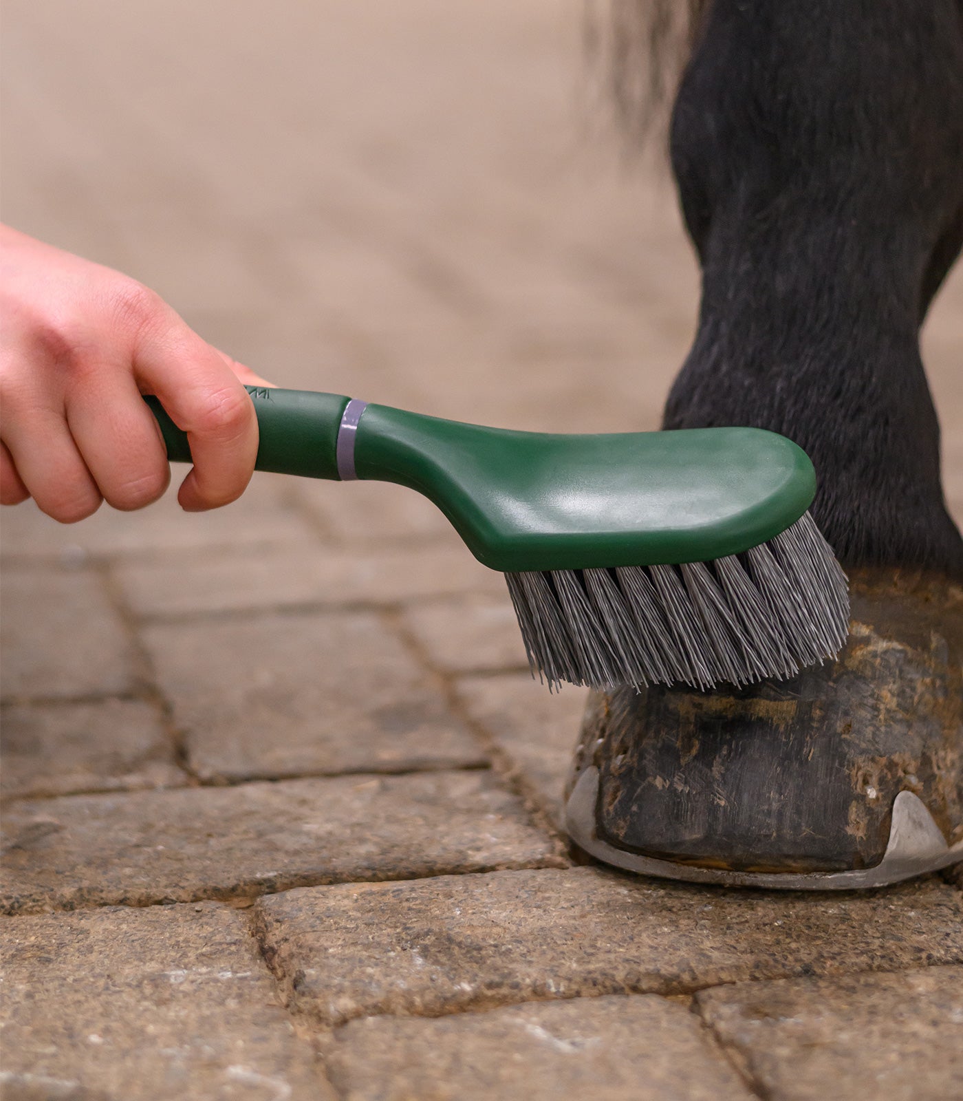 Waldhausen - Bucket brush