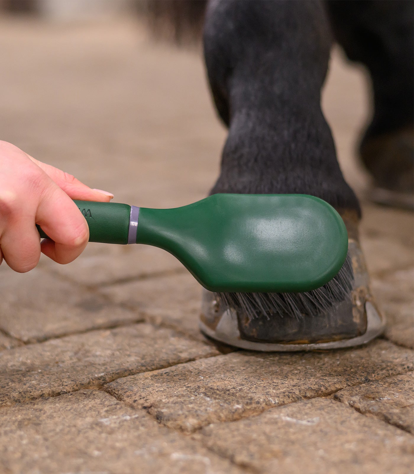 Waldhausen - Bucket brush