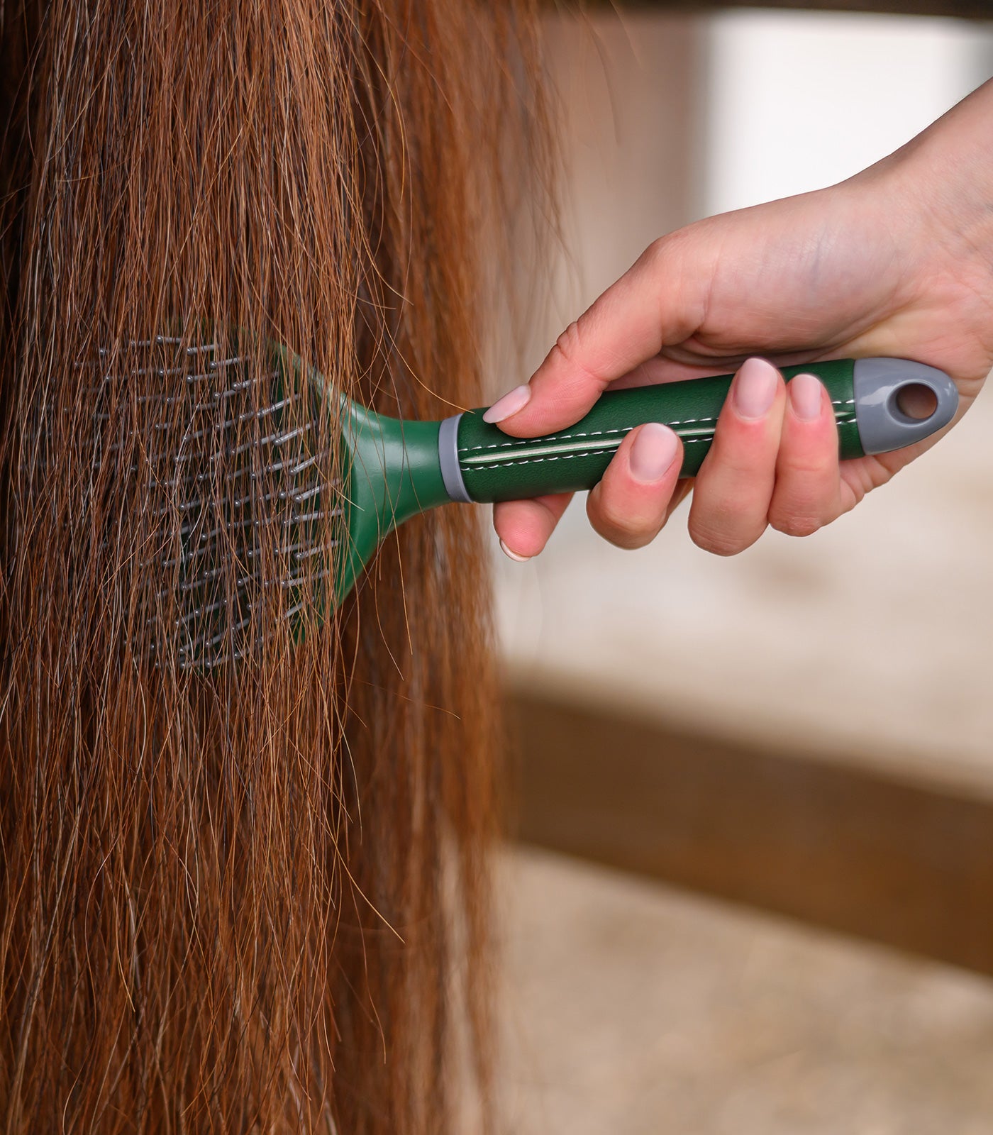 Waldhausen - Mane brush