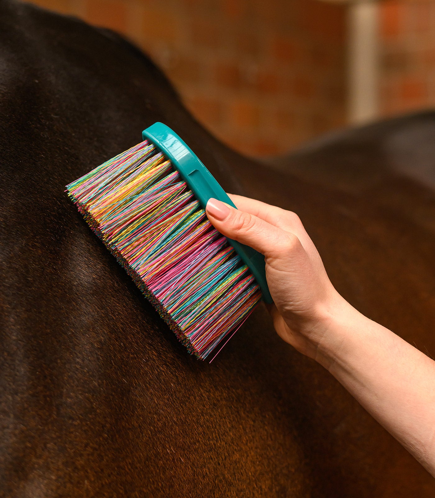 Waldhausen - Rainbow body brush