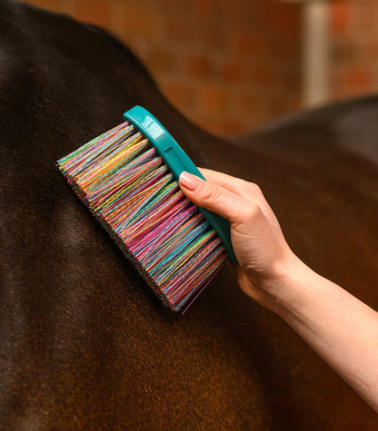 Waldhausen - Rainbow body brush
