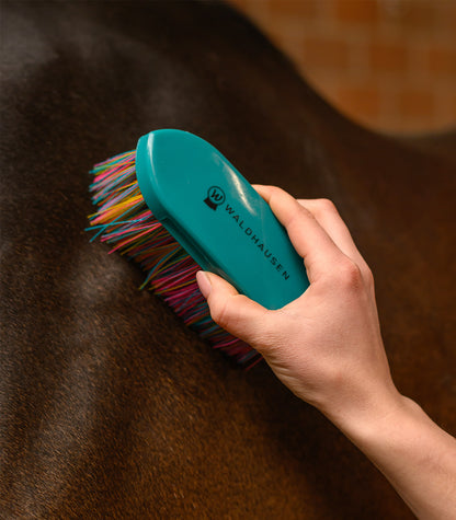 Waldhausen - Rainbow body brush