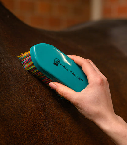 Waldhausen - Rainbow stiff brush