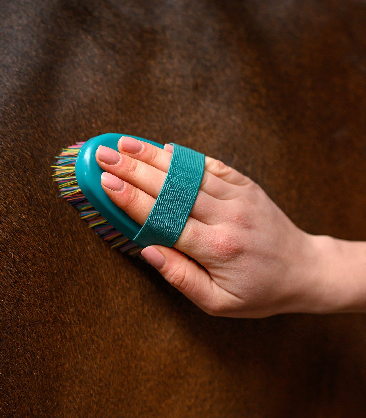 Waldhausen - Rainbow grooming brush