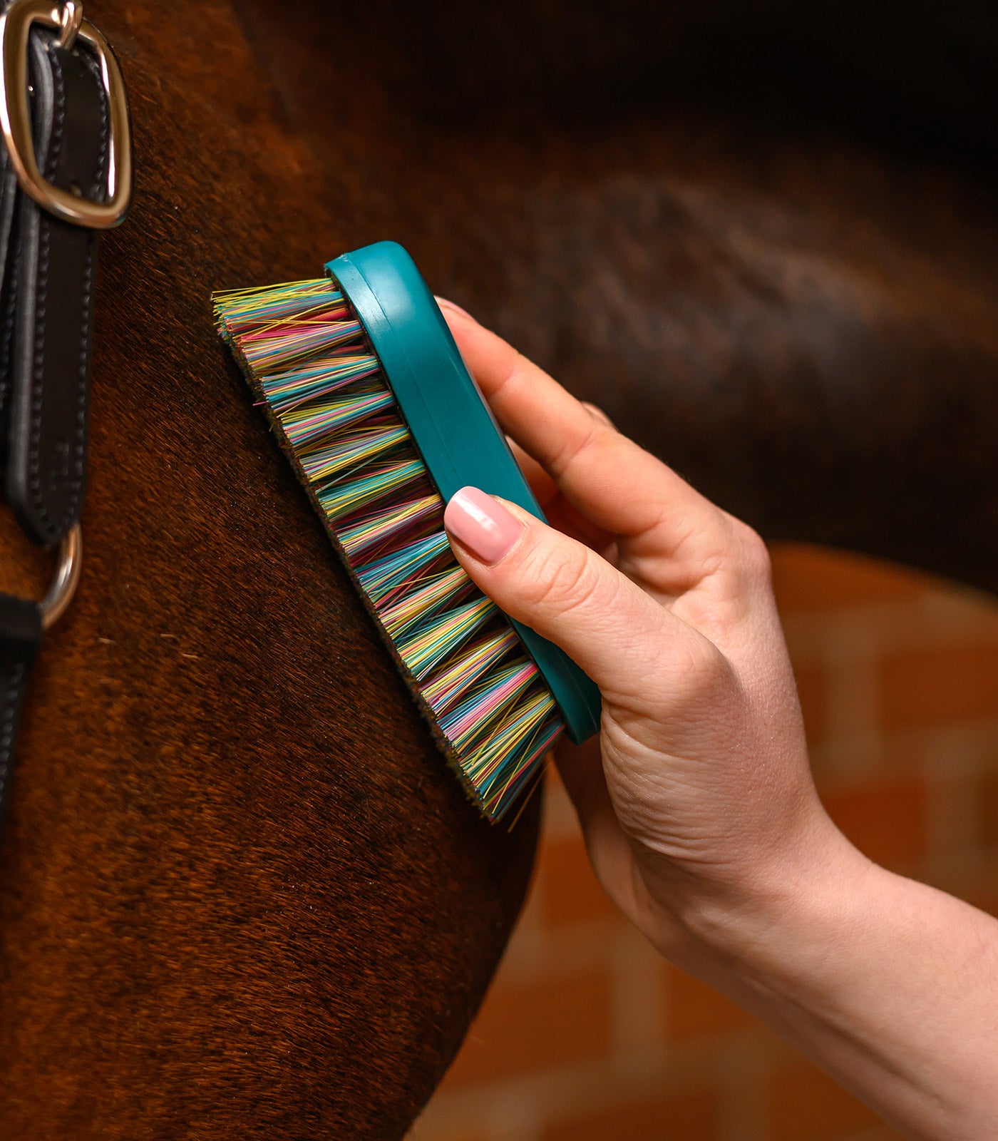 Waldhausen - Rainbow head brush