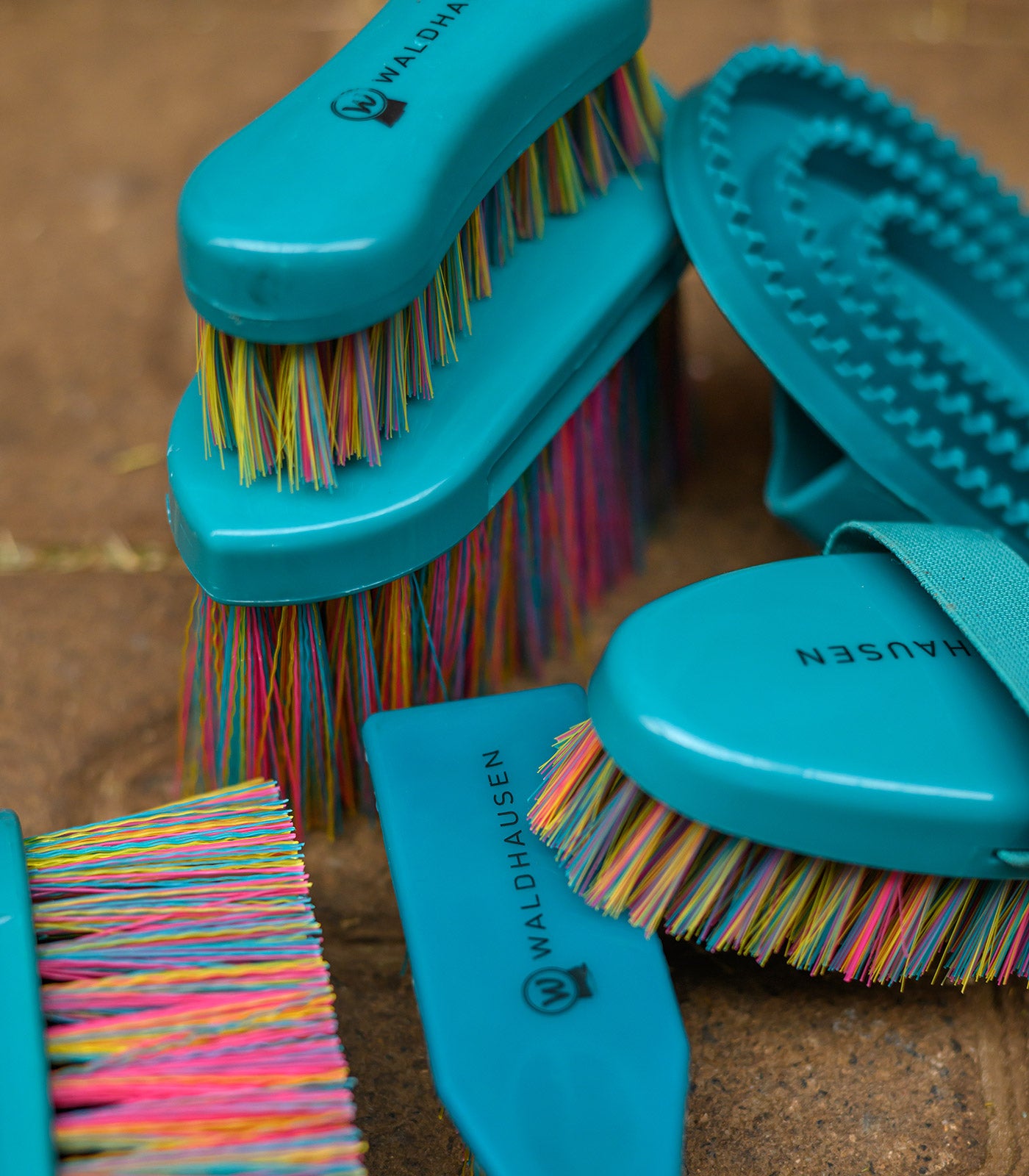 Waldhausen - Rainbow head brush