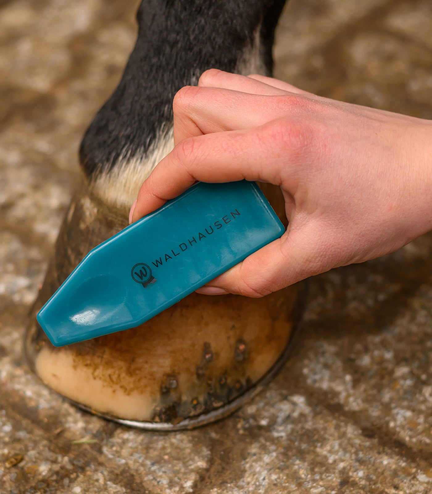 Waldhausen - Hoof Brush Rainbow