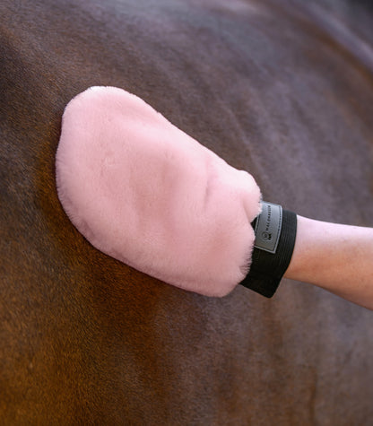 Waldhausen - Lambskin-Grooming Glove Lucky