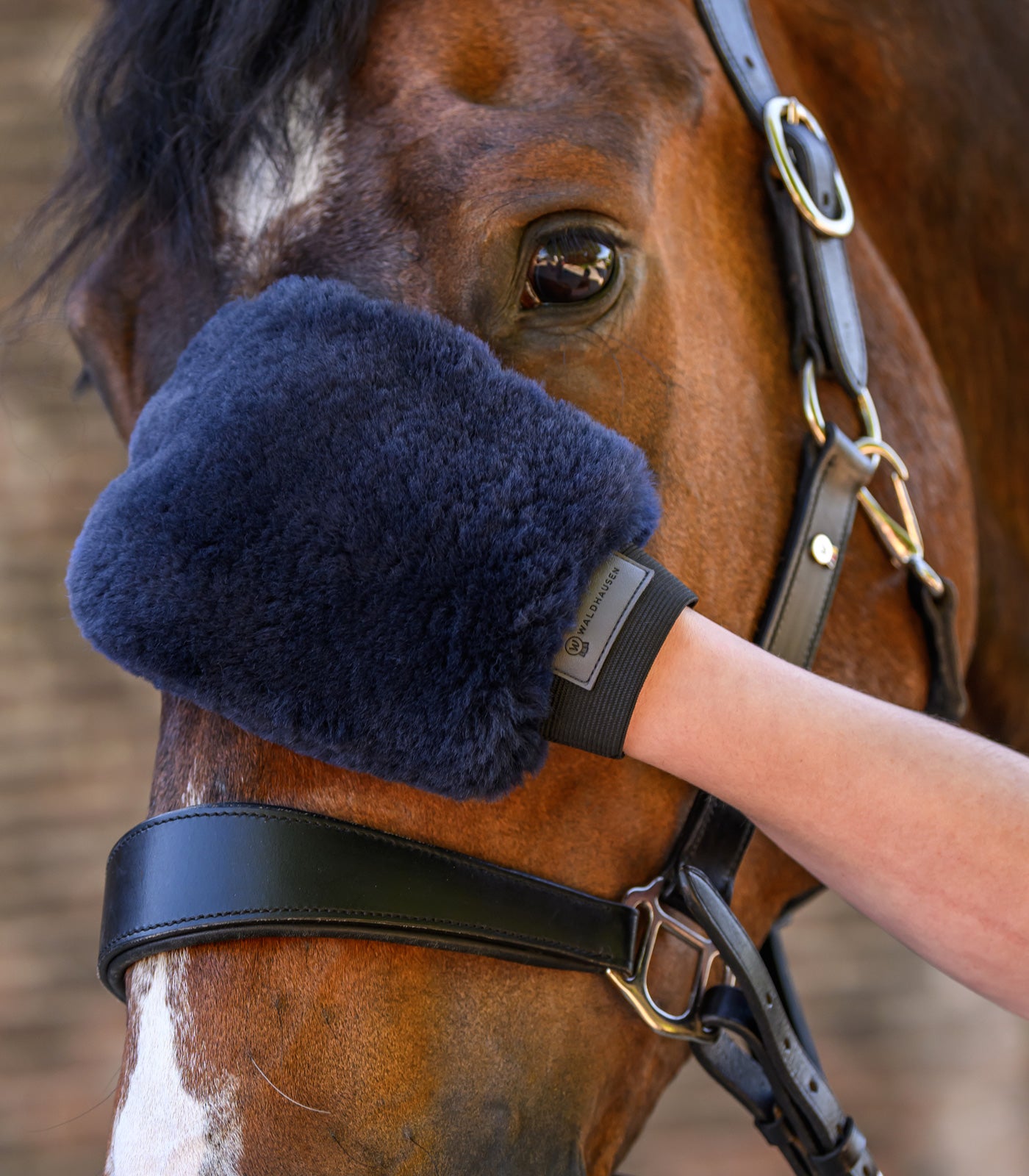 Waldhausen - Lambskin-Grooming Glove Lucky
