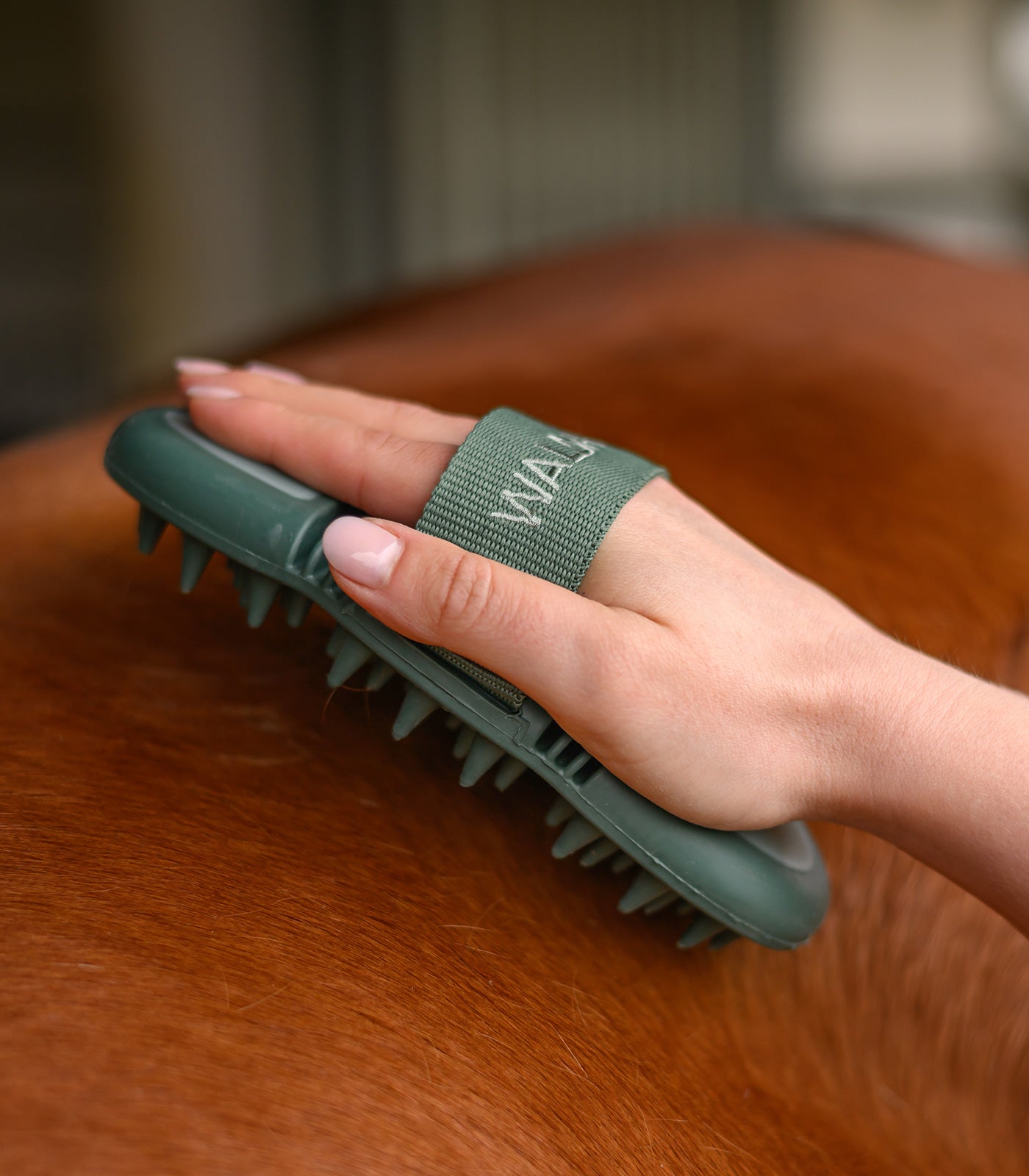 Waldhausen - Flex massage brush