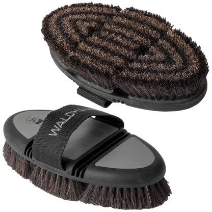 Waldhausen - Flex body brush, brown horse hair bristles