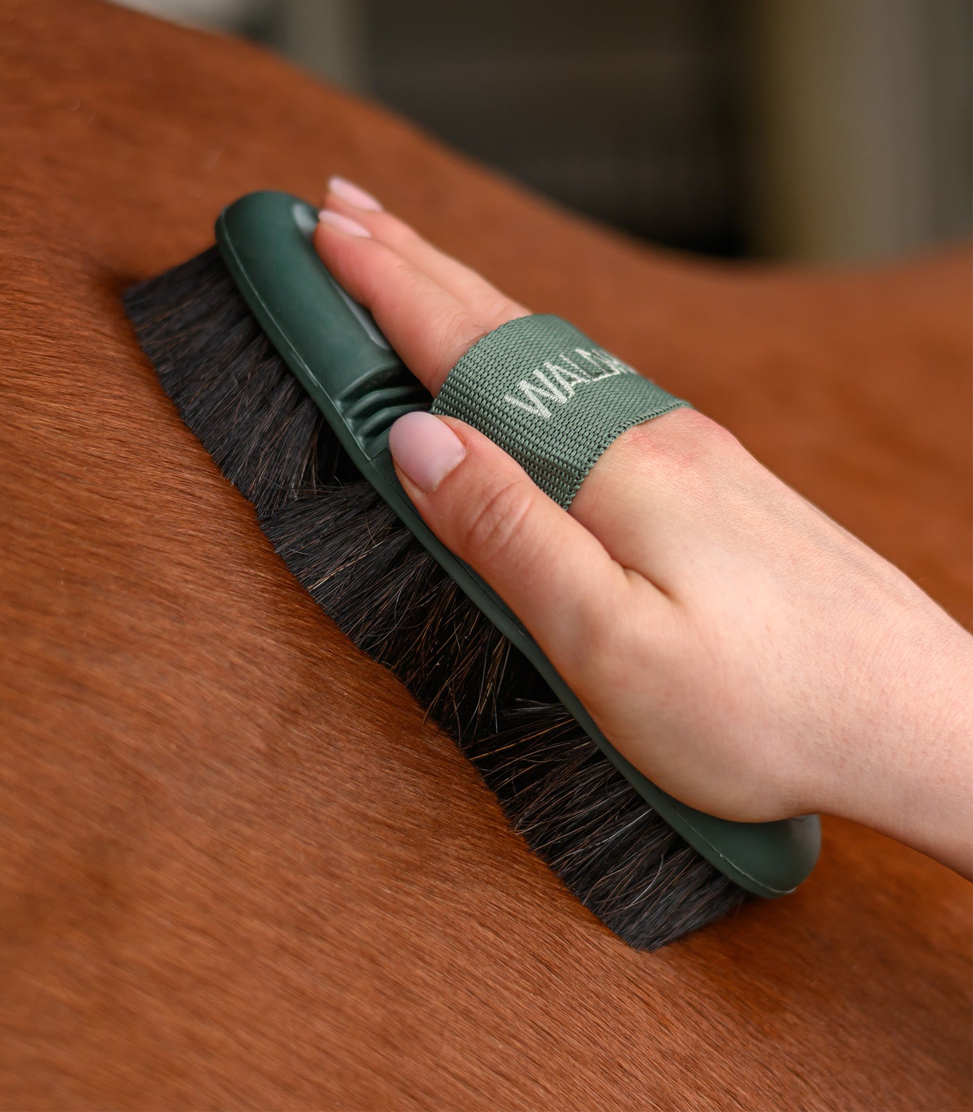 Waldhausen - Flex body brush, brown horse hair bristles