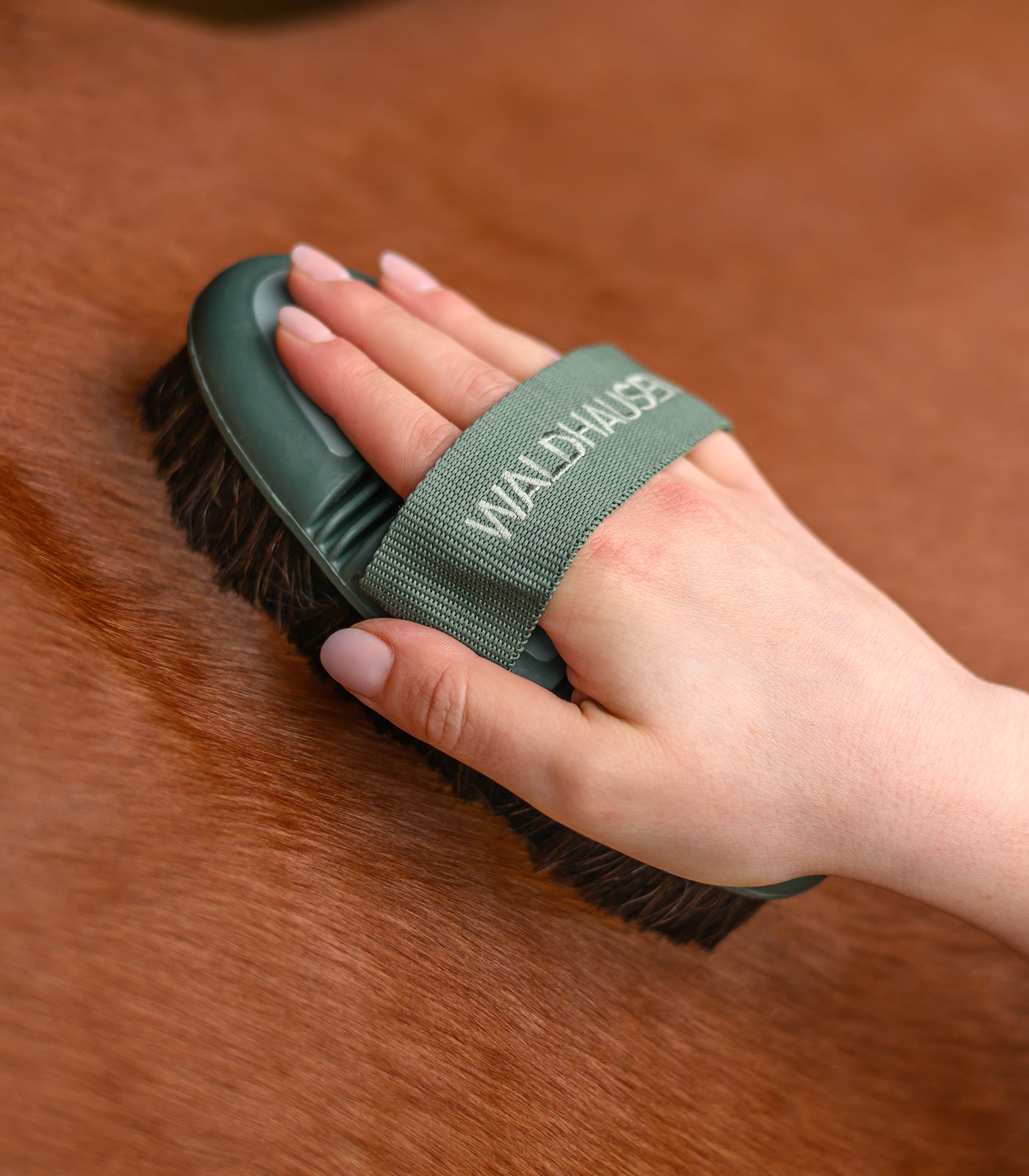 Waldhausen - Flex body brush, brown horse hair bristles