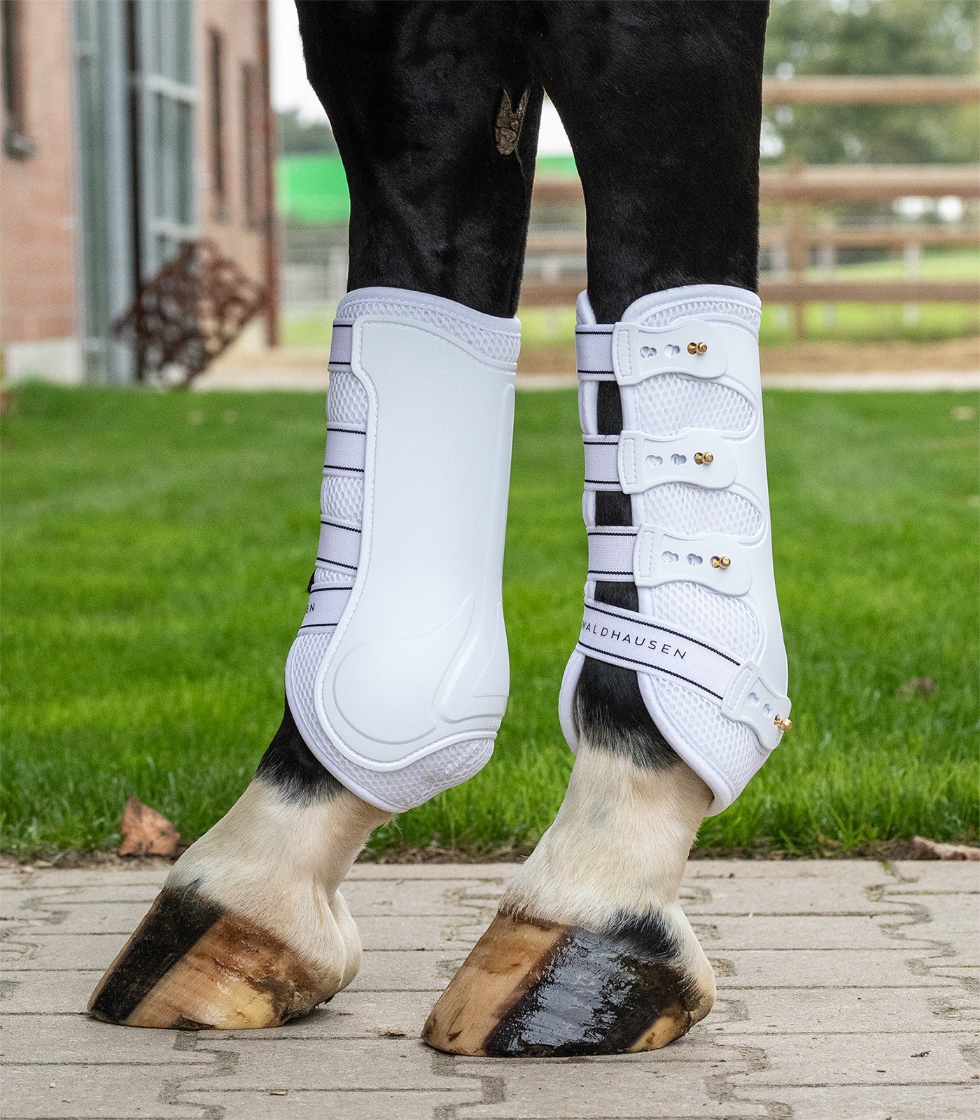 Waldhausen - tendon Boots breath