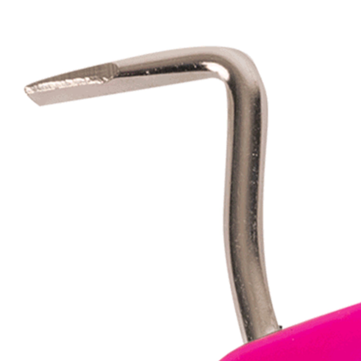 Waldhausen - Hoof pick with magnet