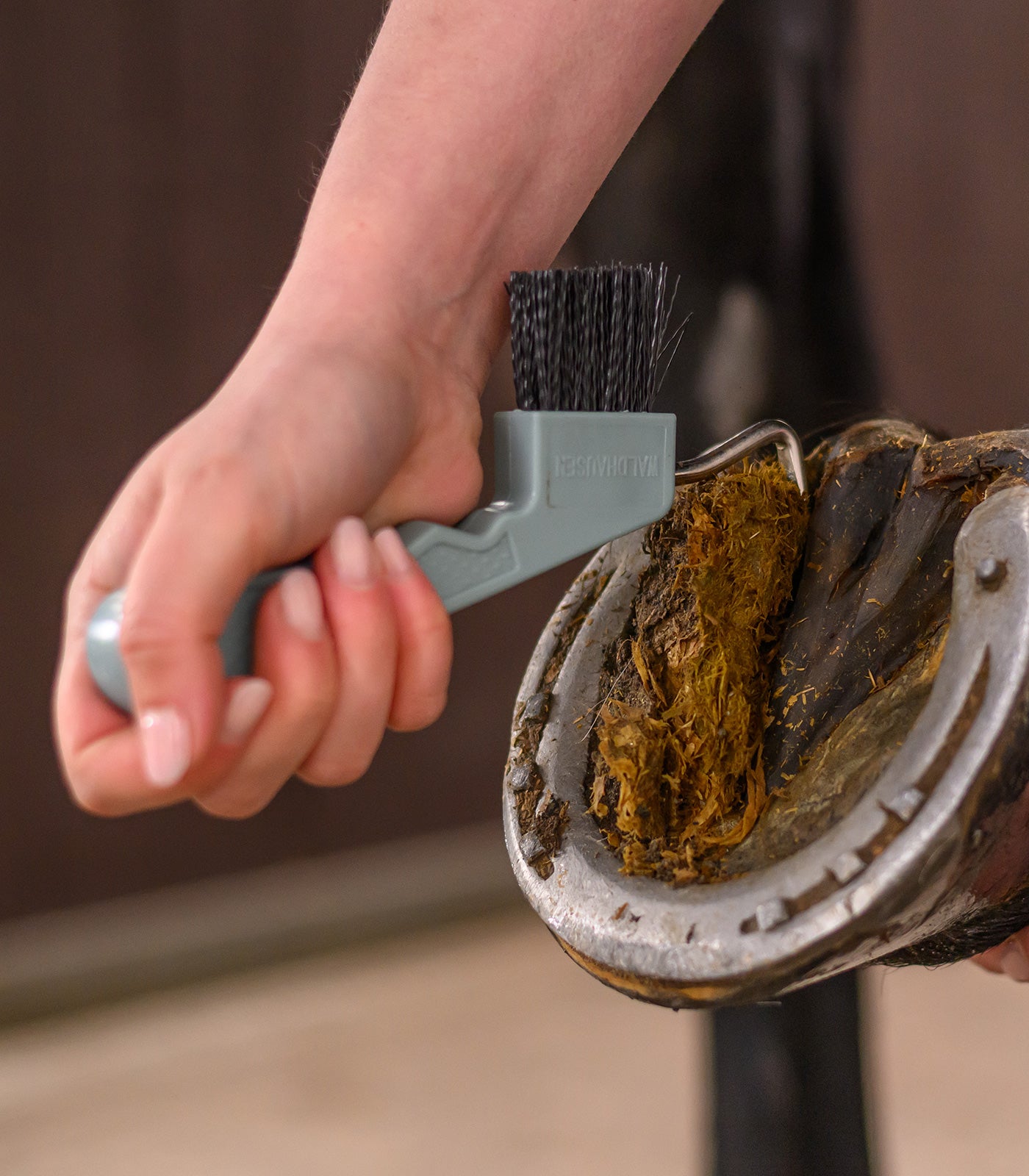Waldhausen - Hoof pick with magnet