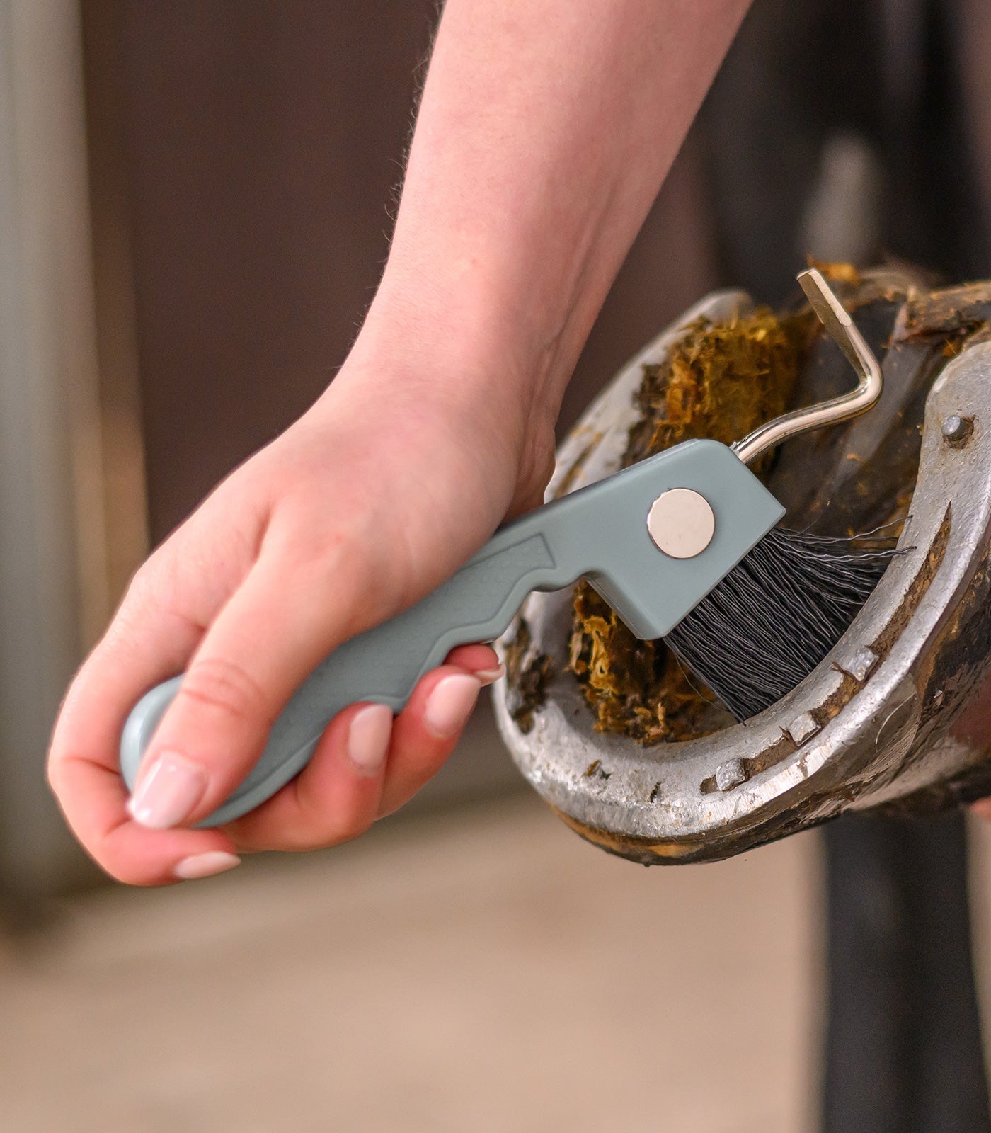 Waldhausen - Hoof pick with magnet