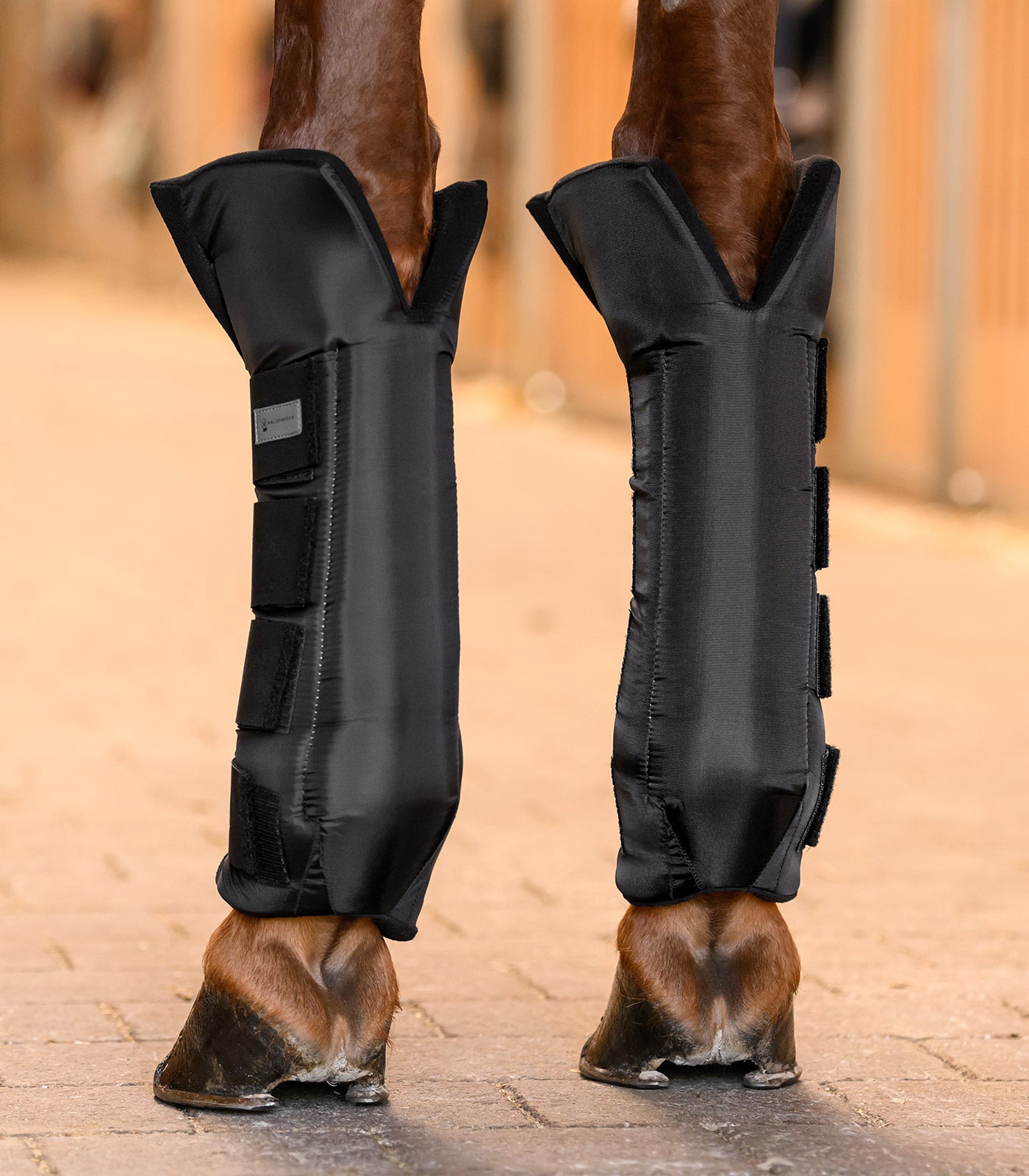 Waldhausen - Stable Boots with joint support, front, pair, black