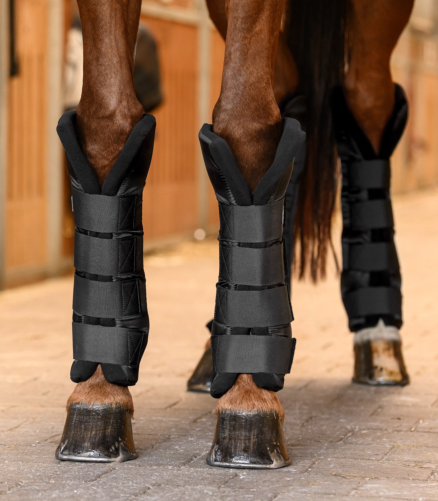 Waldhausen - Stable Boots with joint support, front, pair, black