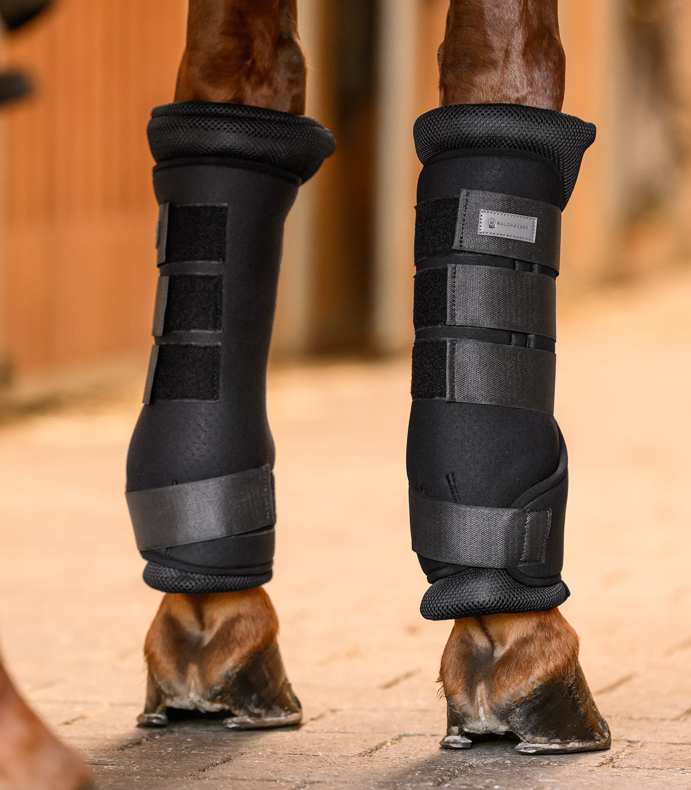 Waldhausen - Stable Boots Breath, pair, black