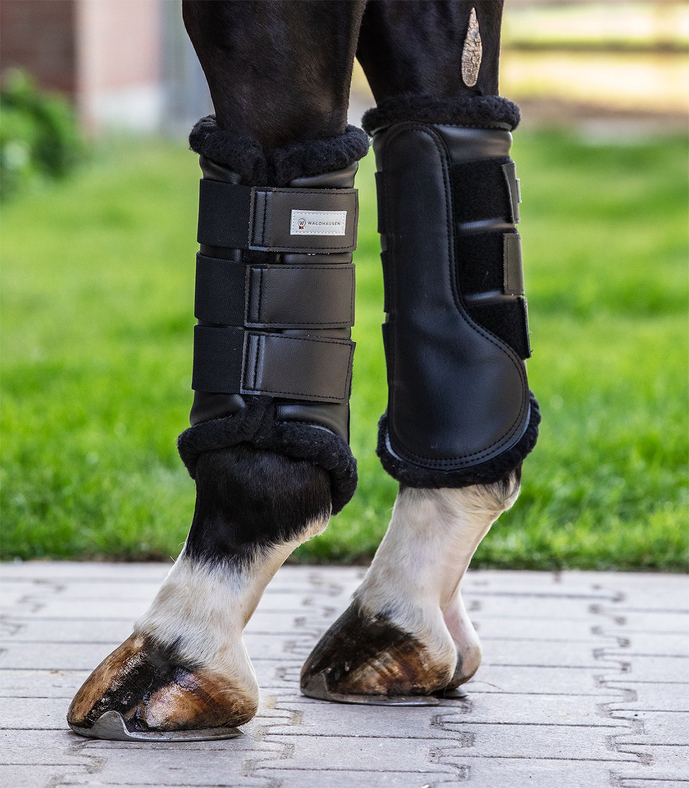 Waldhausen - Dressage Boots Soft