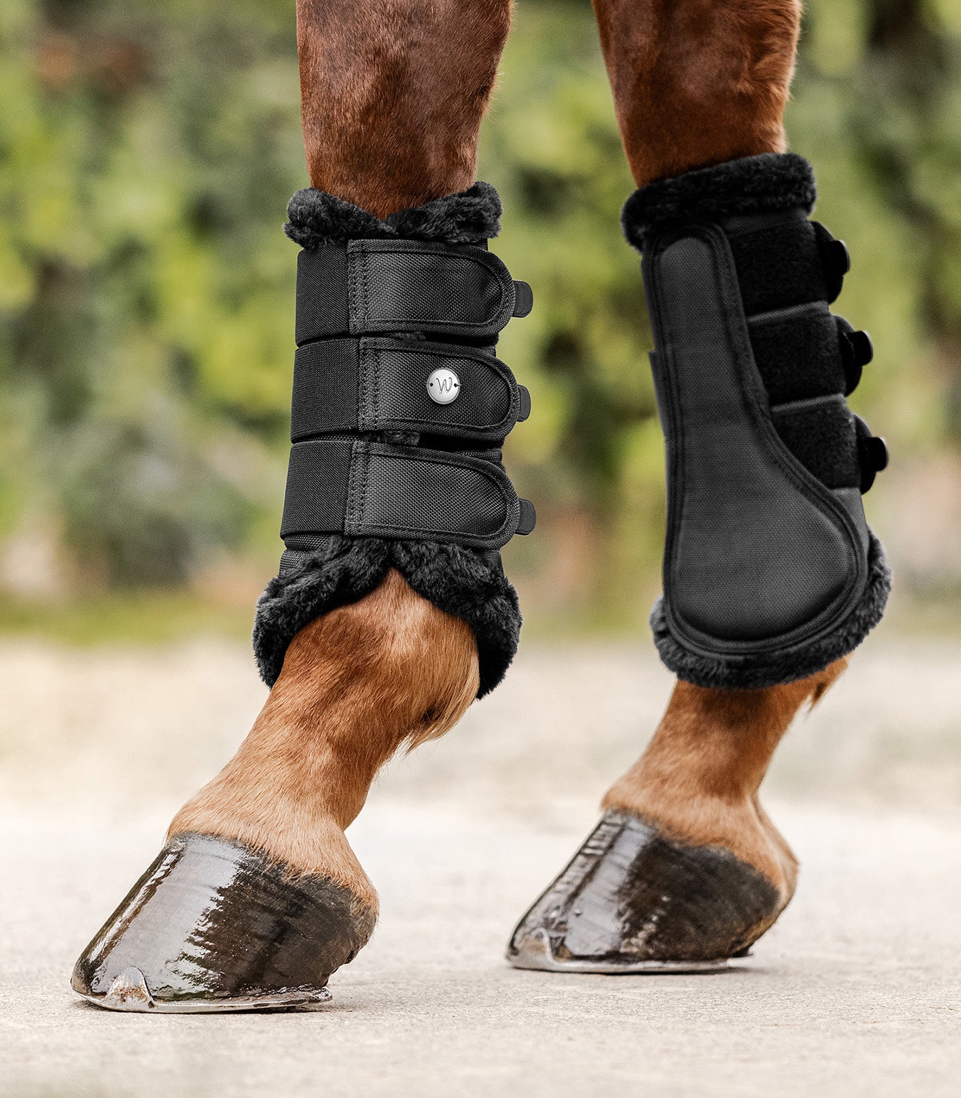 Waldhausen - Dressage Boots Comfort Light