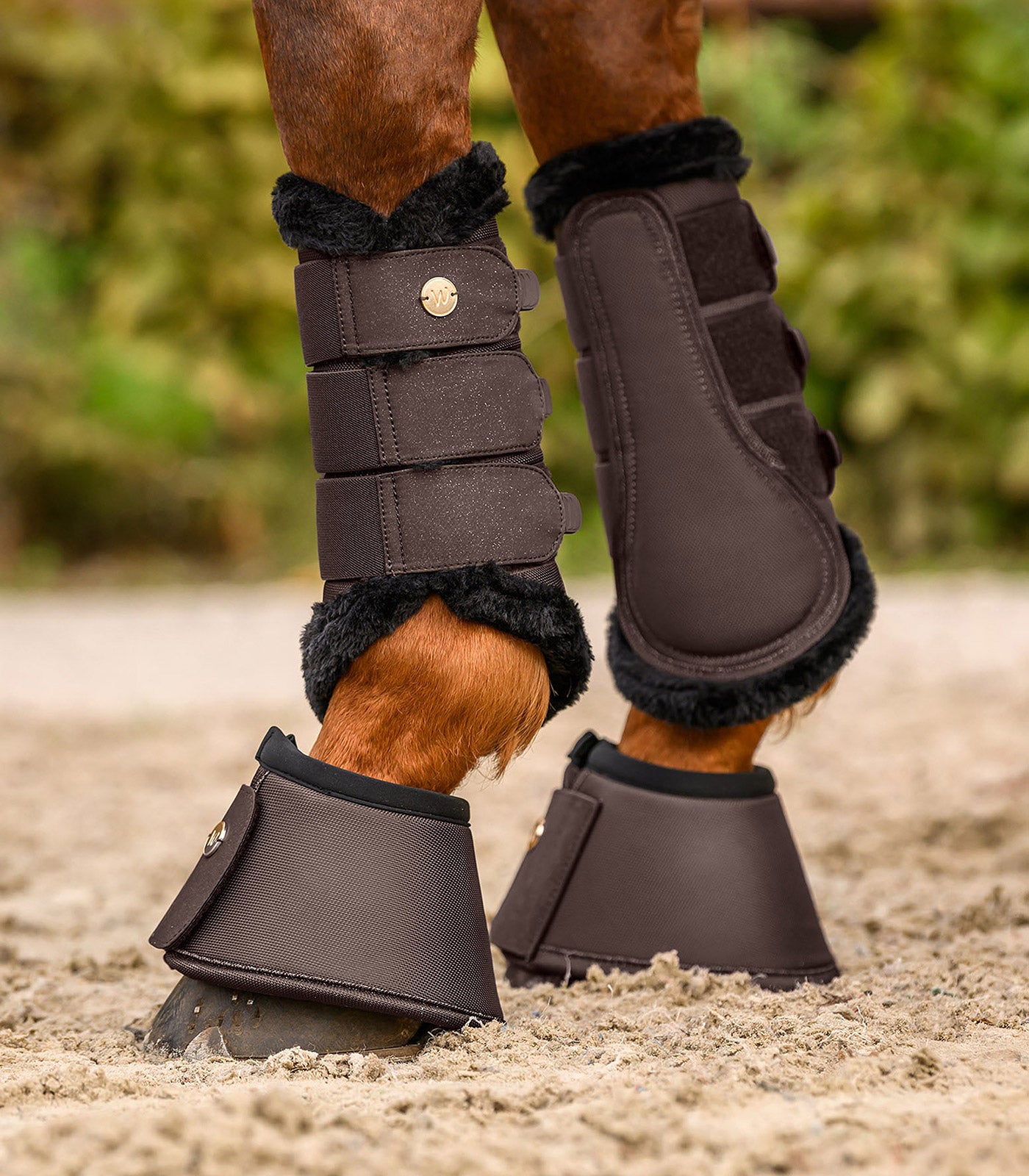 Waldhausen - Dressage Boots Phoenix