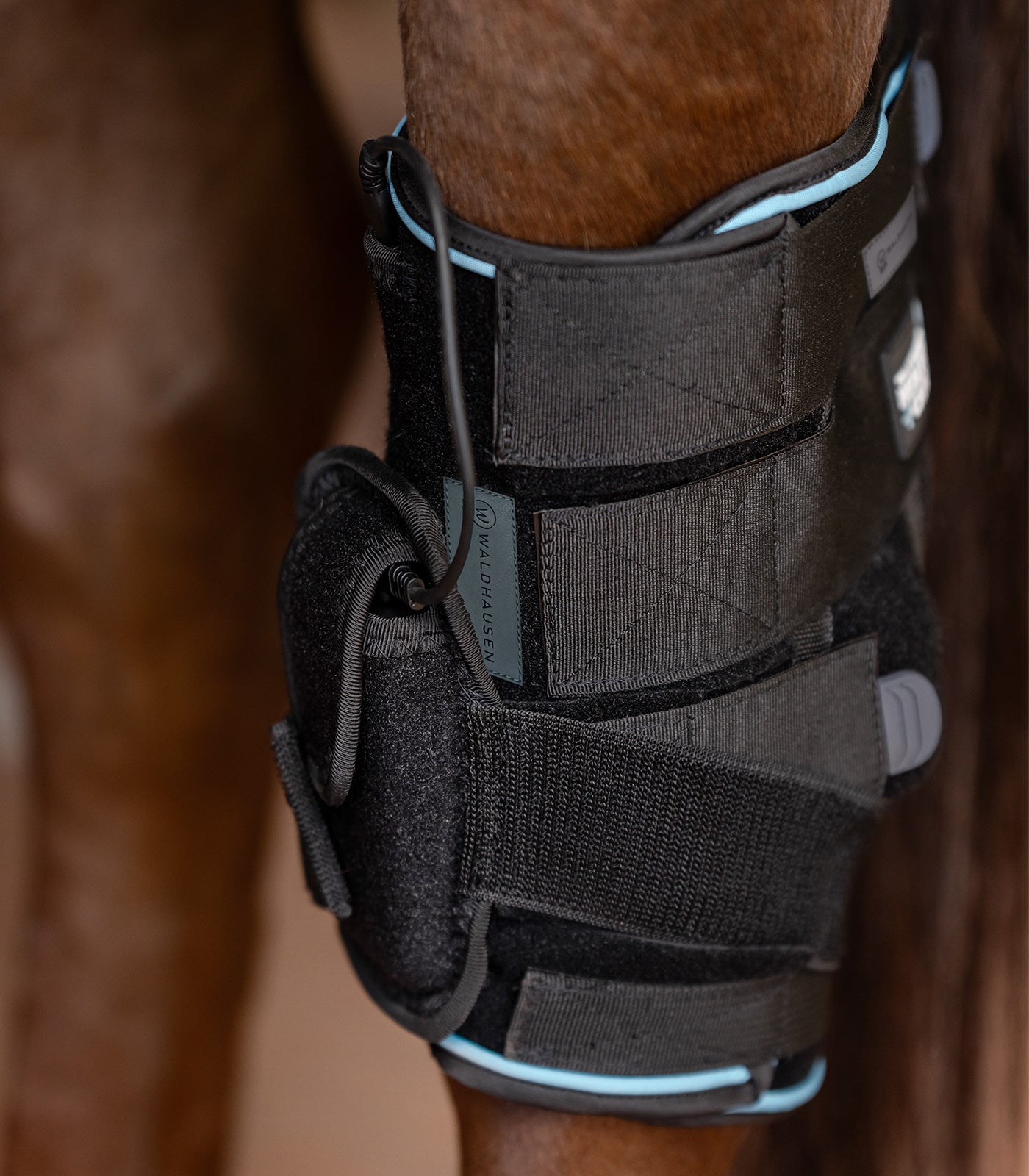 Waldhausen Health + Care - W-Health + Care Boot for hock, WEEE-No.: DE 63080891