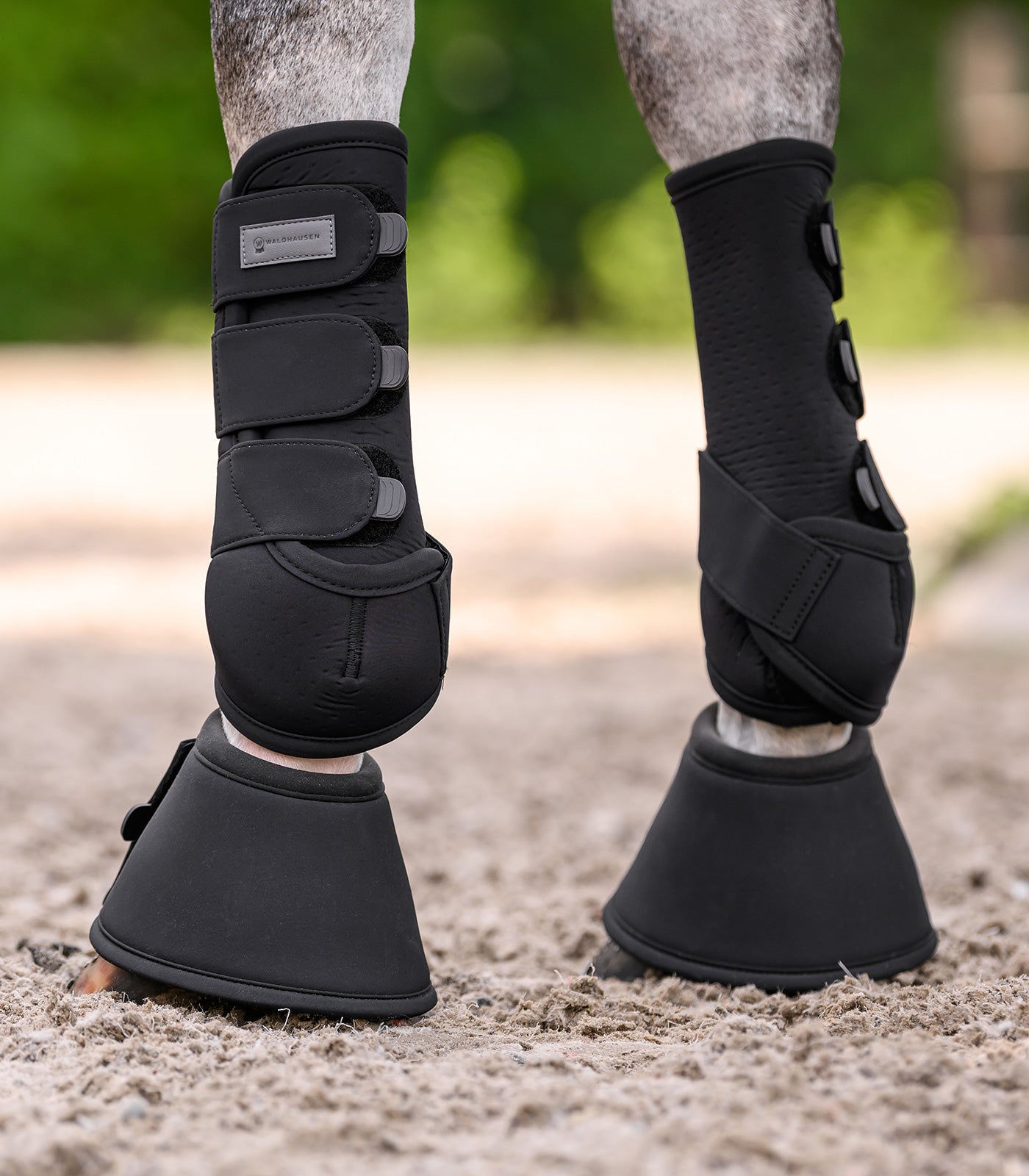 Waldhausen - Bell boots Performance