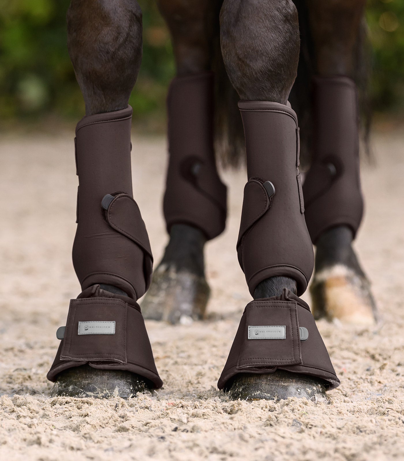 Waldhausen - Bell boots Performance