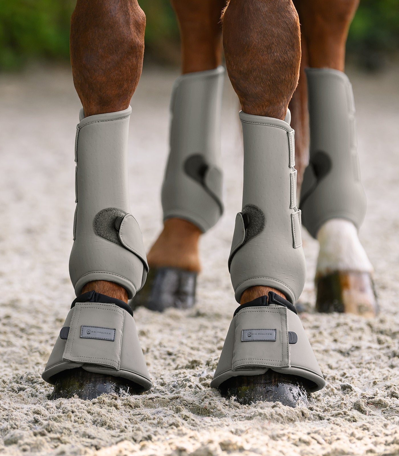 Waldhausen - Bell boots Performance
