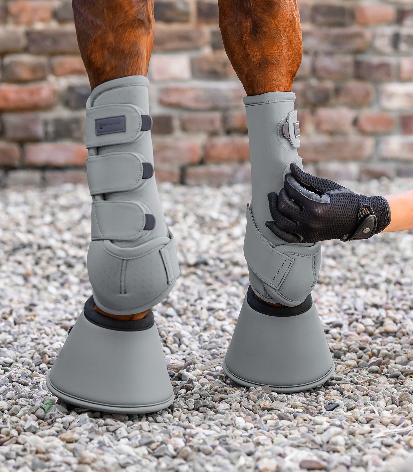 Waldhausen - Bell boots Performance