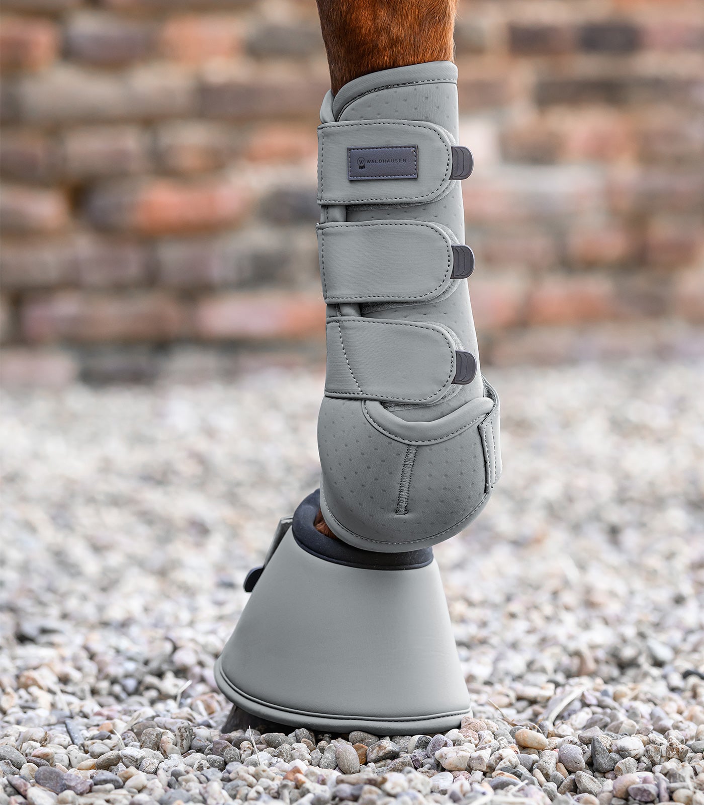Waldhausen - Bell boots Performance