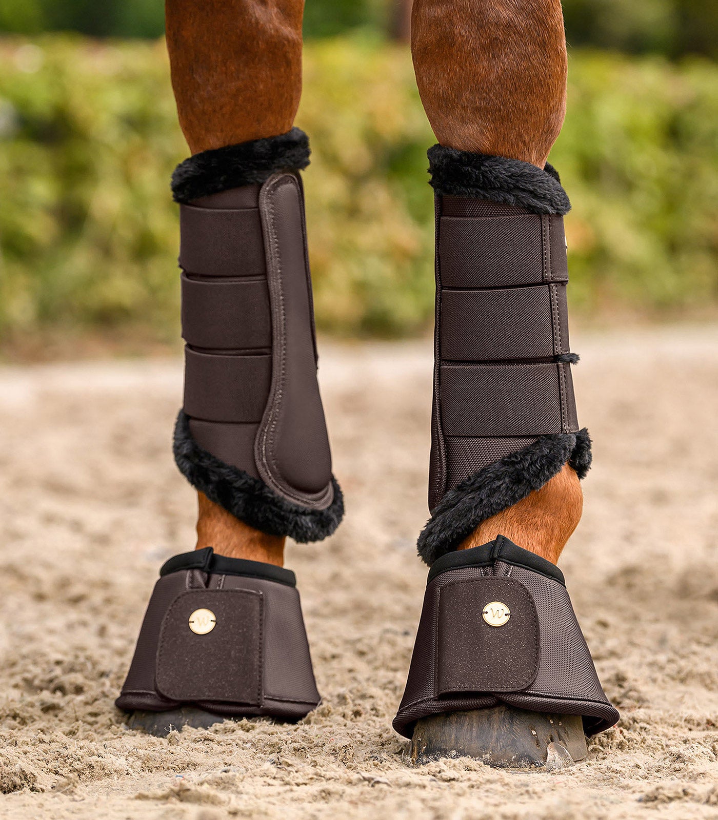 Waldhausen - Bell boots Phoenix, espresso