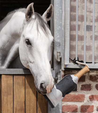 Waldhausen - Horse Toy Champagne Bottle