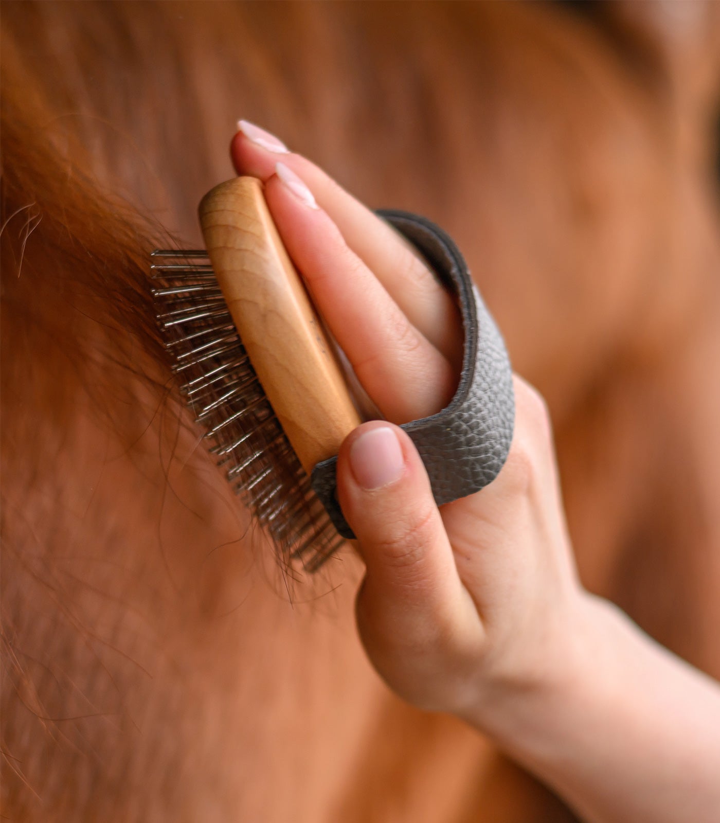 Waldhausen - Exclusive Line long hair brush, 12 cm