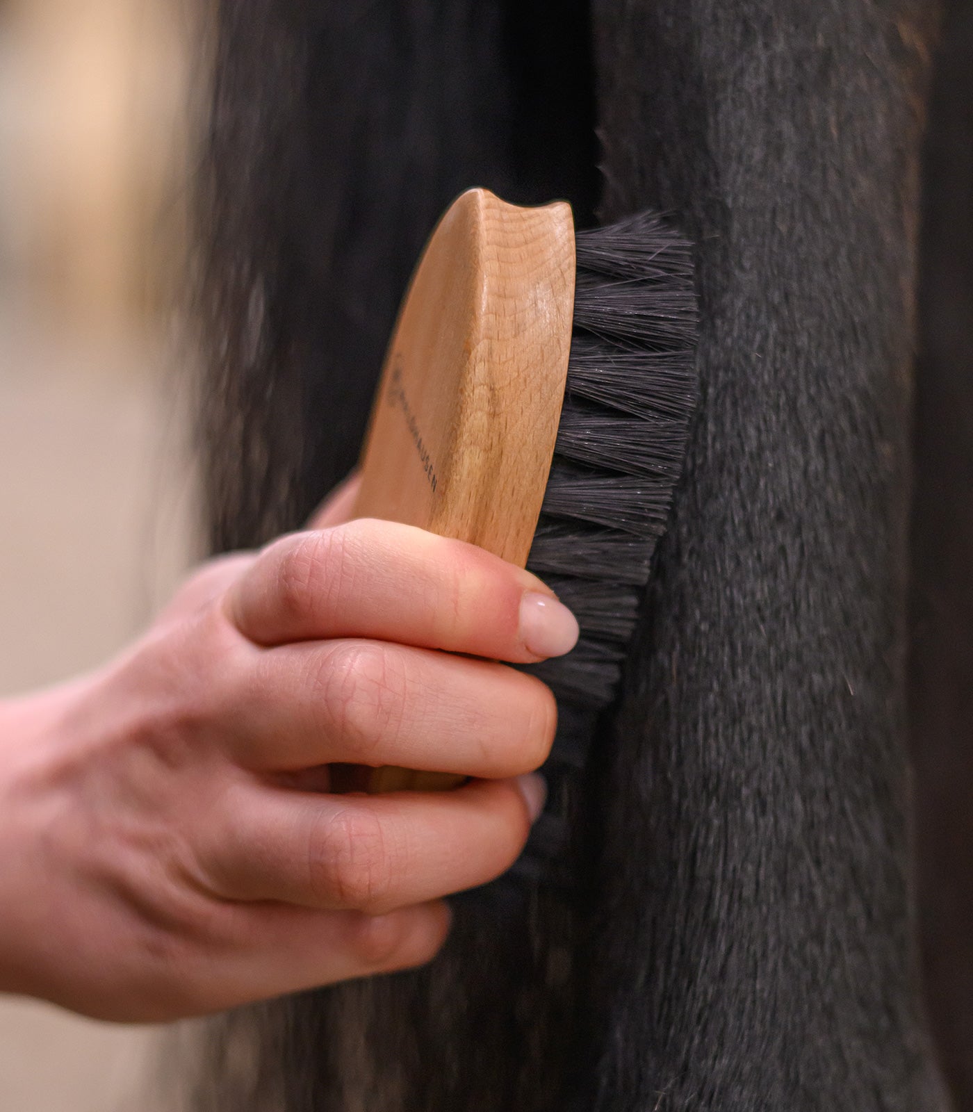 Waldhausen - Exclusive Line dirt brush