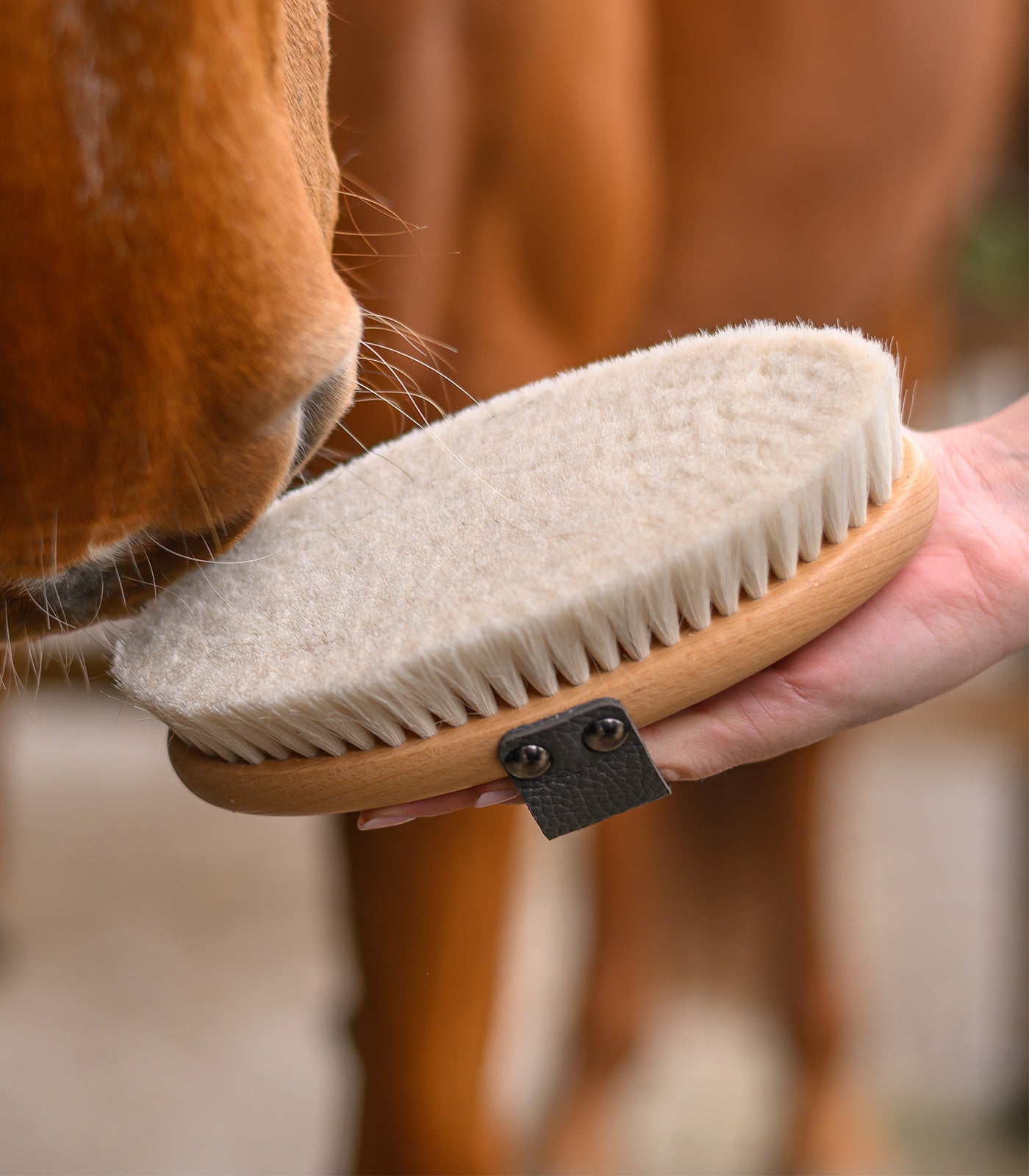 Waldhausen - Exclusive Line Shiny Brush