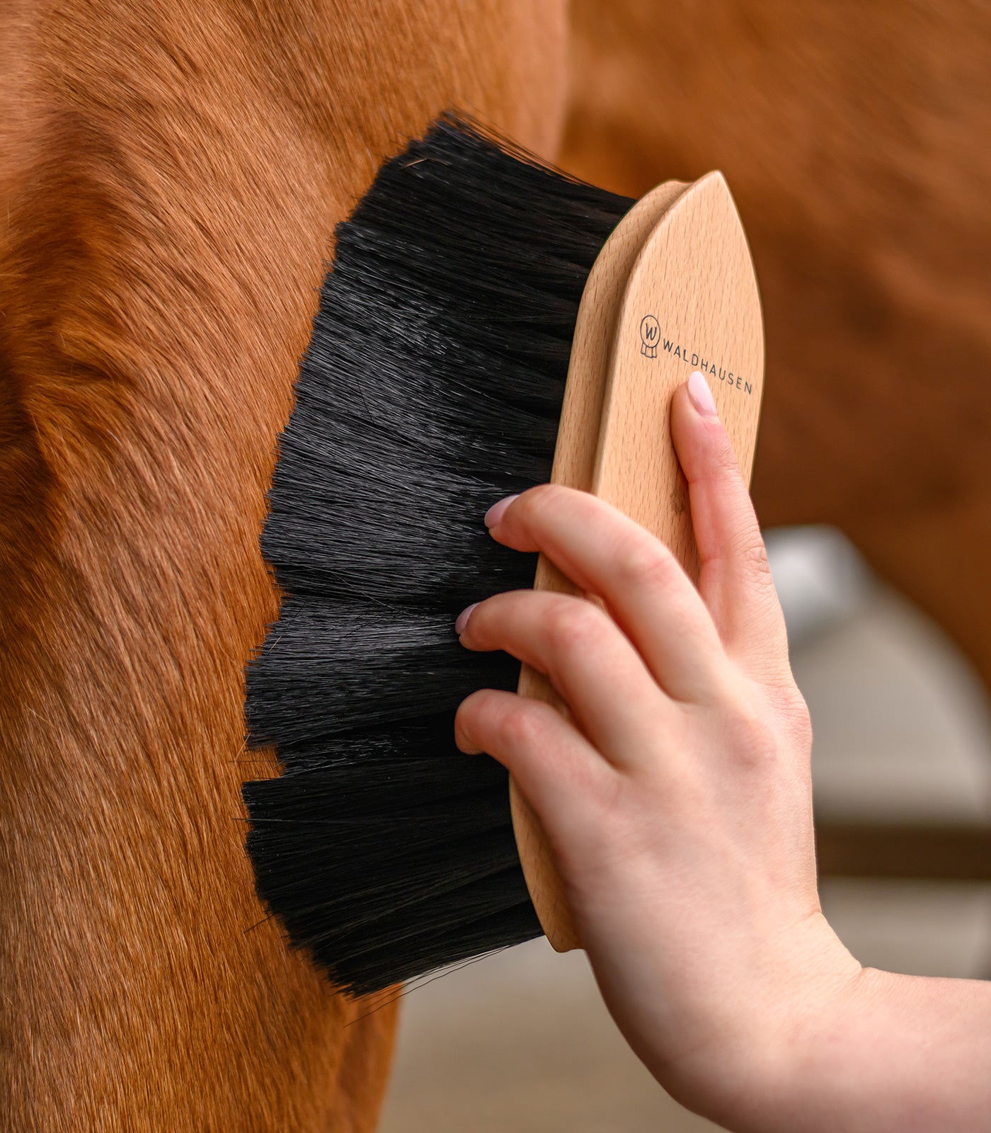 Waldhausen - Exclusive Line Dust Brush