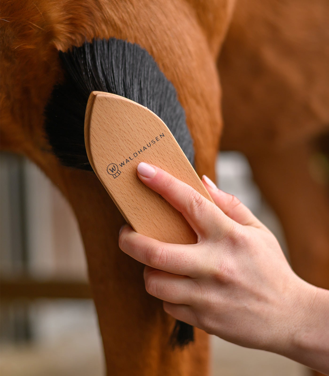 Waldhausen - Exclusive Line Dust Brush