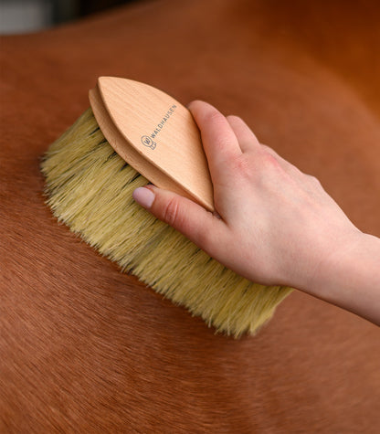 Waldhausen - Exclusive Line coat brush