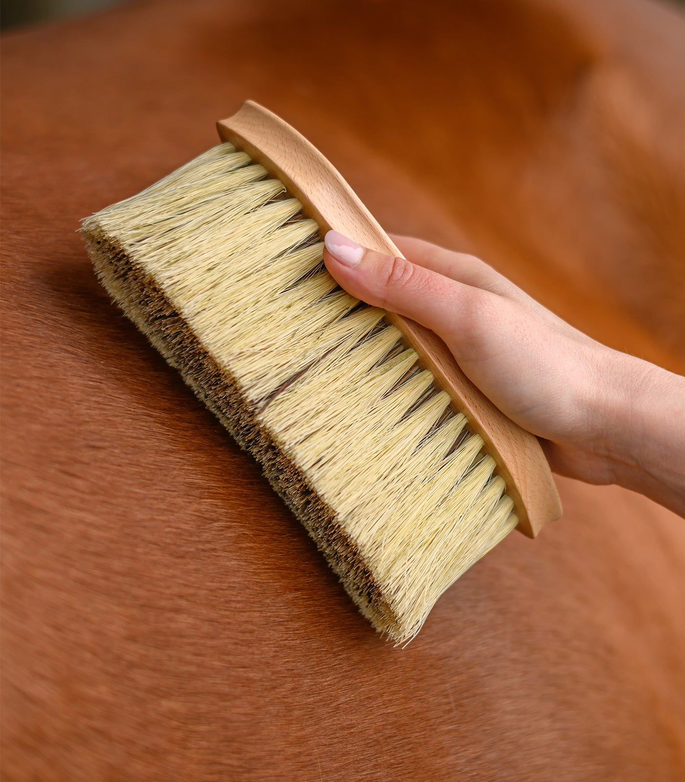 Waldhausen - Exclusive Line coat brush