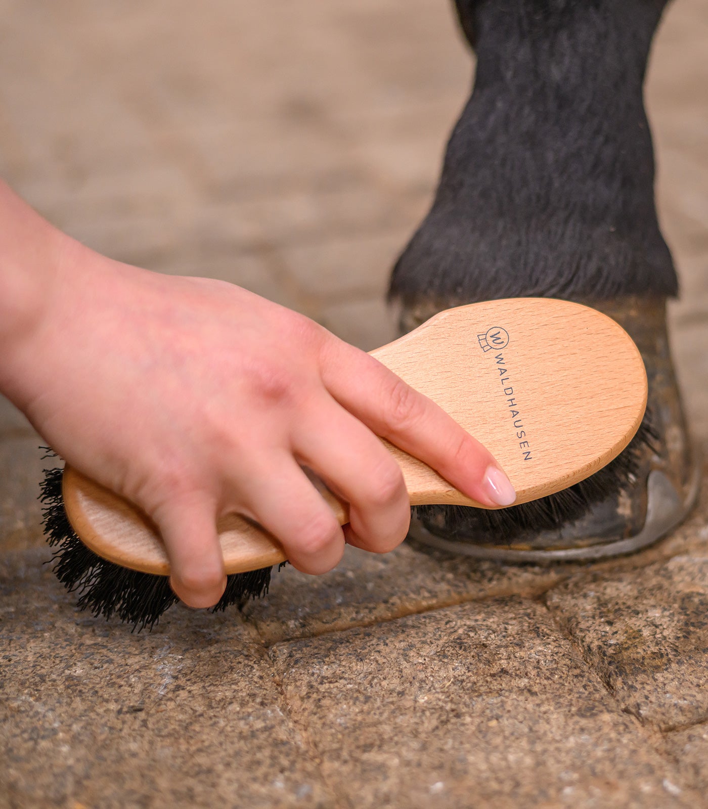 Waldhausen - Exclusive Line Hoof Brush